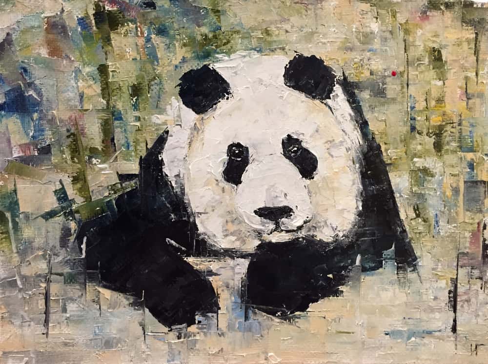 panda